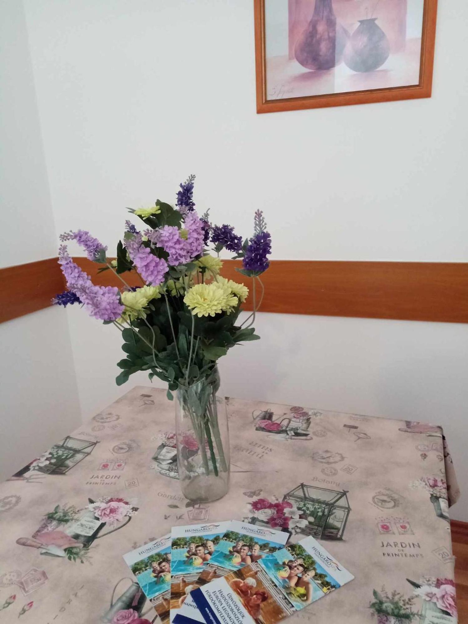 Oazis Wellness Apartman2 Hajdúszoboszló Εξωτερικό φωτογραφία
